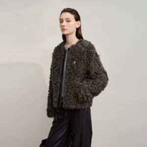 Women's Coat 2025 Winter New Minimalist O-neck Loose Coats Woman Elegant Short Zipper Long Sleeve Clothing Female 12514003